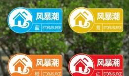 深圳网友钟女士爆料视频,揭秘事件背后惊人真相