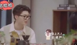 被亲弟弟爆料视频,亲弟弟爆料视频背后的惊人真相